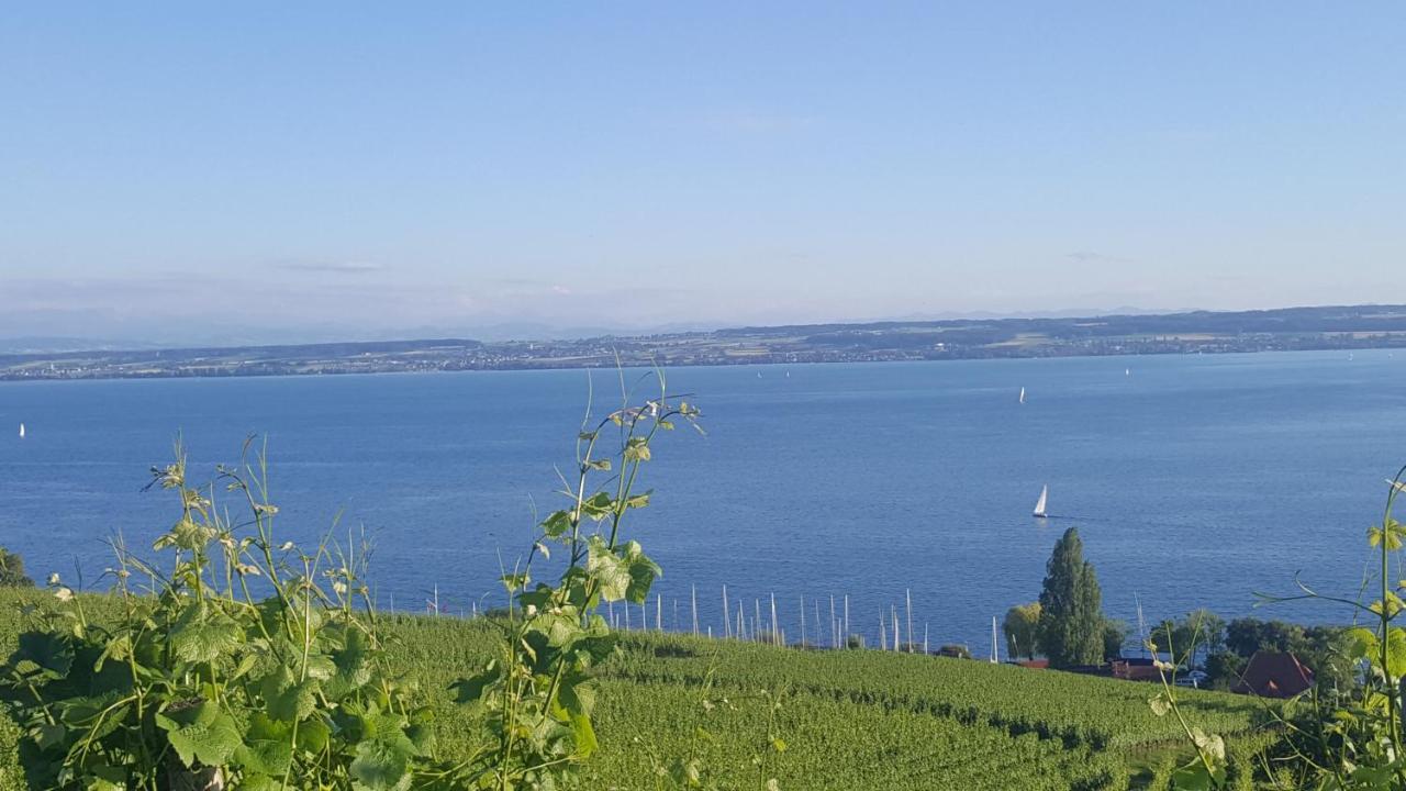 Apartment Neuweiher Daisendorf Εξωτερικό φωτογραφία